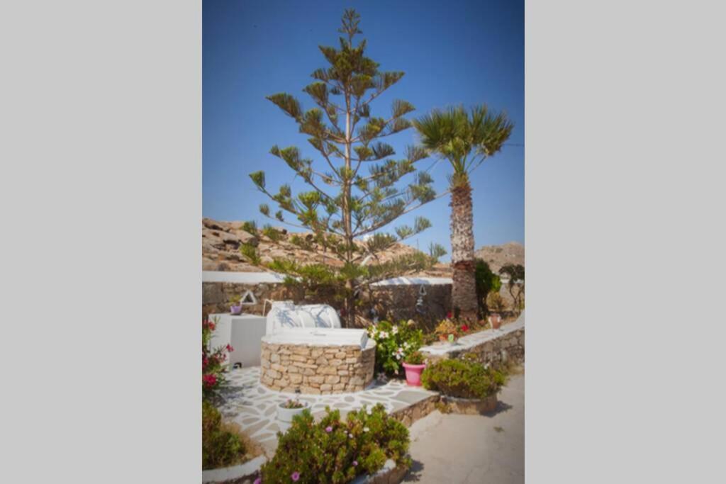 White Dreams Studio Mykonos Town Buitenkant foto